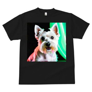 EGXgnChzCgeA TVc Y LbY t@  t  vg JWA 킢 lԗp h ̃fUC ʔ EGXgnChzCge