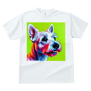 EGXgnChzCgeA TVc fB[X t@  t  vg JWA 킢 lԗp h ̃fUC ʔ EGXgnChzCgeA