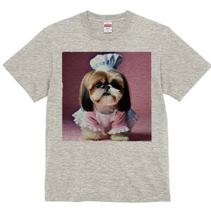 V[Y[ TVc Y LbY t@  t  vg JWA 킢 lԗp h ̃fUC ʔ RbNX V[Y[ Gv sN