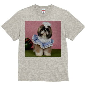 V[Y[ TVc Y LbY t@  t  vg JWA 킢 lԗp h ̃fUC ʔ RX`[ V[Y[ Xq Gv