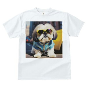 V[Y[ TVc fB[X t@  t  vg JWA 킢 lԗp h ̃fUC ʔ TOX V[Y[ WPbg 