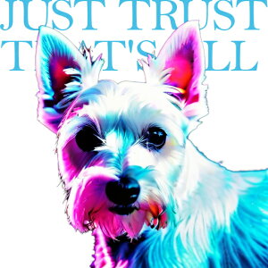 EGXgnChzCgeA NbVJo[ 45×45cm Aj}   NbV{̕t ` t@