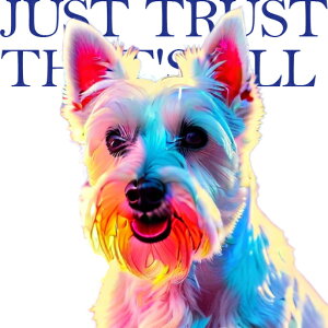 EGXgnChzCgeA NbVJo[ 45×45cm Aj}   NbV{̕t ` t@