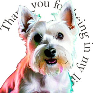 �E�G�X�g�n�C�����h�z���C�g�e���A �N�b�V�����J�o�[ 45×45cm �A�j�}���� ������� ���� �N�b�V�����{�̕t�� �����` ���t�@��