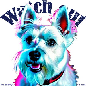 TVc EGXgnChzCgeA NbVJo[ 45×45cm Aj}   NbV{̕t ` t@