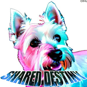 EGXgnChzCgeA NbVJo[ 45×45cm Aj}   NbV{̕t ` t@