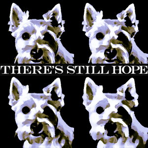 �E�G�X�g�n�C�����h�z���C�g�e���A �N�b�V�����J�o�[ 45×45cm �A�j�}���� ������� ���� �N�b�V�����{�̕t�� �����` ���t�@��