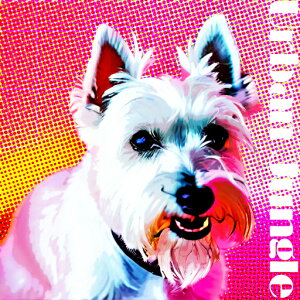 �E�G�X�g�n�C�����h�z���C�g�e���A �N�b�V�����J�o�[ 45×45cm �A�j�}���� ������� ���� �N�b�V�����{�̕t�� �����` ���t�@��