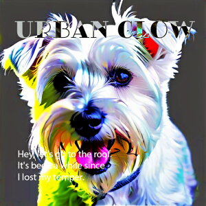 �E�G�X�g�n�C�����h�z���C�g�e���A �N�b�V�����J�o�[ 45×45cm �A�j�}���� ������� ���� �N�b�V�����{�̕t�� �����` ���t�@��