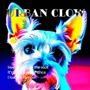 T�V���c �E�G�X�g�n�C�����h�z���C�g�e���A �N�b�V�����J�o�[ 45×45cm �A�j�}���� ������� ���� �N�b�V�����{�̕t�� �����` ���t�@��