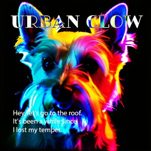 TVc EGXgnChzCgeA t@bV JWA Xg[gEFA NbVJo[ 45×45cm Aj}   NbV{̕t ` t@