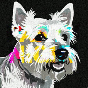 EGXgnChzCgeA NbVJo[ 45×45cm Aj}   NbV{̕t ` t@