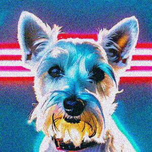 T�V���c �E�G�X�g�n�C�����h�z���C�g�e���A �N�b�V�����J�o�[ 45×45cm �A�j�}���� ������� ���� �N�b�V�����{�̕t�� �����` ���t�@��