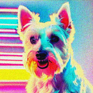 wi EGXgnChzCgeA NbVJo[ 45×45cm Aj}   NbV{̕t ` t@