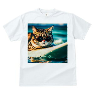 TVc fB[X t@  t  vg JWA 킢 lԗp h ̃fUC ʔ TOX C T[t{[h