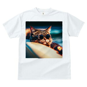 TVc fB[X t@  t  vg JWA 킢 lԗp h ̃fUC ʔ TOX L