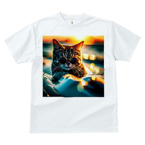 TVc fB[X t@  t  vg JWA 킢 lԗp h ̃fUC ʔ TOX L [Ă C