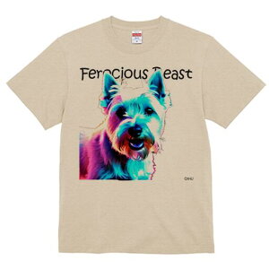 EGXgnChzCgeA TVc Y LbY t@  t  vg JWA 킢 lԗp h ̃fUC ʔ EGXgnChzCge