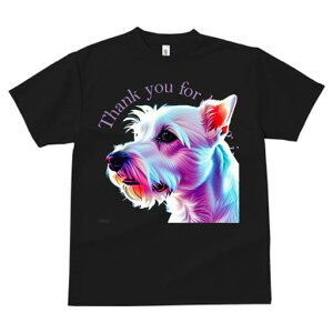 EGXgnChzCgeA TVc fB[X t@  t  vg JWA 킢 lԗp h ̃fUC ʔ EGXgnChzCgeA