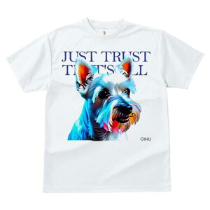 EGXgnChzCgeA TVc fB[X t@  t  vg JWA 킢 lԗp h ̃fUC ʔ EGXgnChzCgeA