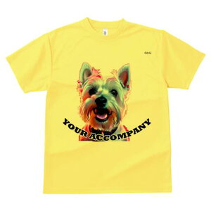 EGXgnChzCgeA TVc Y LbY t@  t  vg JWA 킢 lԗp h ̃fUC ʔ EGXgnChzCge