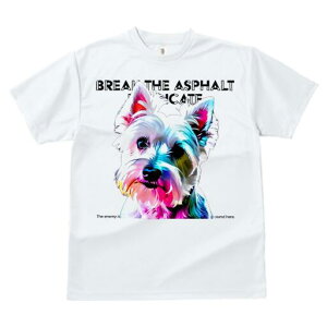 EGXgnChzCgeA TVc Y LbY t@  t  vg JWA 킢 lԗp h ̃fUC ʔ EGXgnChzCge