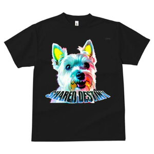 EGXgnChzCgeA TVc fB[X t@  t  vg JWA 킢 lԗp h ̃fUC ʔ EGXgnChzCgeA