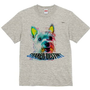 EGXgnChzCgeA TVc Y LbY t@  t  vg JWA 킢 lԗp h ̃fUC ʔ EGXgnChzCge