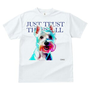 EGXgnChzCgeA TVc fB[X t@  t  vg JWA 킢 lԗp h ̃fUC ʔ EGXgnChzCgeA