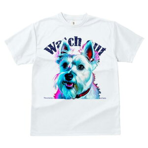 EGXgnChzCgeA TVc fB[X t@  t  vg JWA 킢 lԗp h ̃fUC ʔ TVc EGXgnChzC