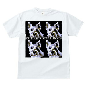 EGXgnChzCgeA TVc fB[X t@  t  vg JWA 킢 lԗp h ̃fUC ʔ EGXgnChzCgeA