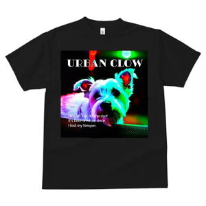 EGXgnChzCgeA TVc fB[X t@  t  vg JWA 킢 lԗp h ̃fUC ʔ TVc EGXgnChzC