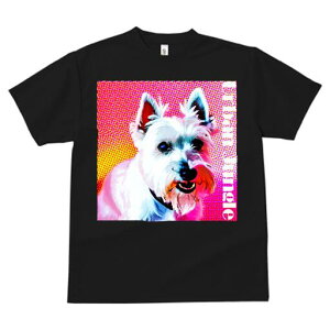 EGXgnChzCgeA TVc fB[X t@  t  vg JWA 킢 lԗp h ̃fUC ʔ EGXgnChzCgeA