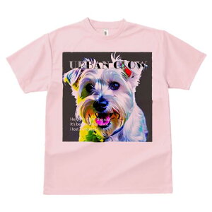 EGXgnChzCgeA TVc Y LbY t@  t  vg JWA 킢 lԗp h ̃fUC ʔ EGXgnChzCge