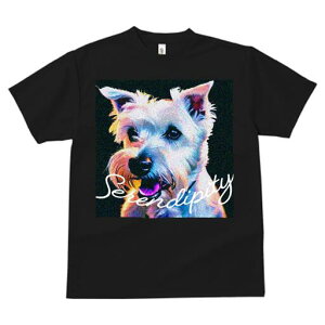 EGXgnChzCgeA TVc fB[X t@  t  vg JWA 킢 lԗp h ̃fUC ʔ EGXgnChzCgeA