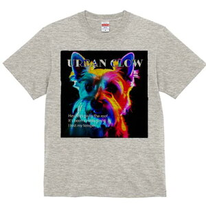 EGXgnChzCgeA TVc Y LbY t@  t  vg JWA 킢 lԗp h ̃fUC ʔ EGXgnChzCge