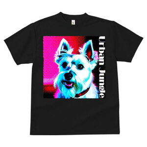 EGXgnChzCgeA TVc fB[X t@  t  vg JWA 킢 lԗp h ̃fUC ʔ EGXgnChzCgeA