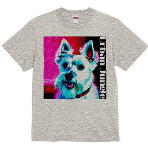 EGXgnChzCgeA TVc Y LbY t@  t  vg JWA 킢 lԗp h ̃fUC ʔ EGXgnChzCge