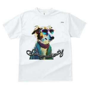 {]C TVc fB[X t@  t  vg JWA 킢 lԗp h ̃fUC ʔ TOX {]C o_i WPbg