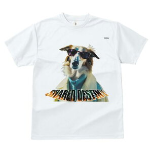 R[ TVc fB[X t@  t  vg JWA 킢 lԗp h ̃fUC ʔ TOX R[ 