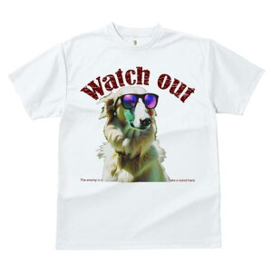 AtKnEh TVc fB[X t@  t  vg JWA 킢 lԗp h ̃fUC ʔ TOX AtKnEh