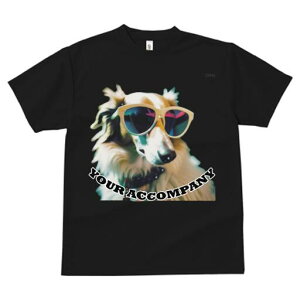 R[ TVc fB[X t@  t  vg JWA 킢 lԗp h ̃fUC ʔ TOX R[