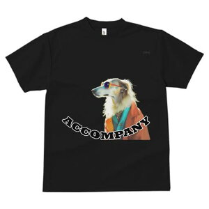 {[_[R[ TVc fB[X t@  t  vg JWA 킢 lԗp h ̃fUC ʔ TOX {[_[R[ t@bV