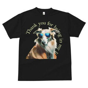 R[ TVc fB[X t@  t  vg JWA 킢 lԗp h ̃fUC ʔ TOX R[ WPbg