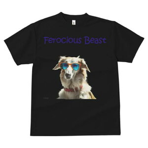 {]C TVc fB[X t@  t  vg JWA 킢 lԗp h ̃fUC ʔ TOX {]C