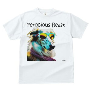 {]C TVc fB[X t@  t  vg JWA 킢 lԗp h ̃fUC ʔ TOX {]C XJ[t