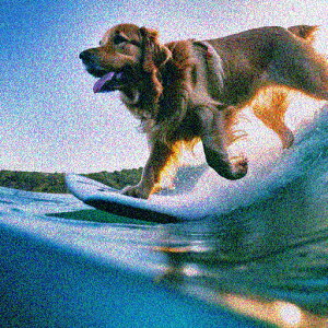 �T�[�t�B�� �S�[���f�����g���o�[ �C �g �� �N�b�V�����J�o�[ 45×45cm �A�j�}���� ������� ���� �N�b�V�����{�̕t�� �����` ���t�@��