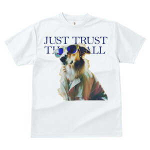 {[_[R[ TVc fB[X t@  t  vg JWA 킢 lԗp h ̃fUC ʔ TOX {[_[R[ WPbg