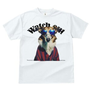 R[ TVc fB[X t@  t  vg JWA 킢 lԗp h ̃fUC ʔ TOX R[ Z[^[