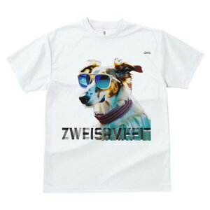 {]C TVc fB[X t@  t  vg JWA 킢 lԗp h ̃fUC ʔ TOX {]C